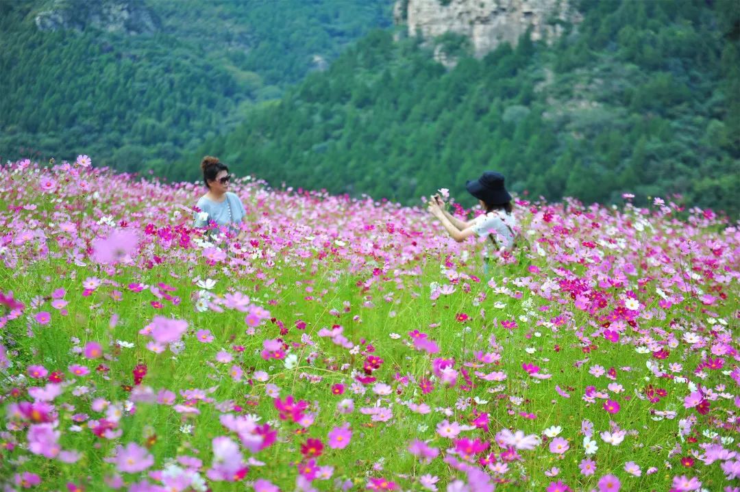 济南必去网红打卡地,济南网红打卡地经三纬三