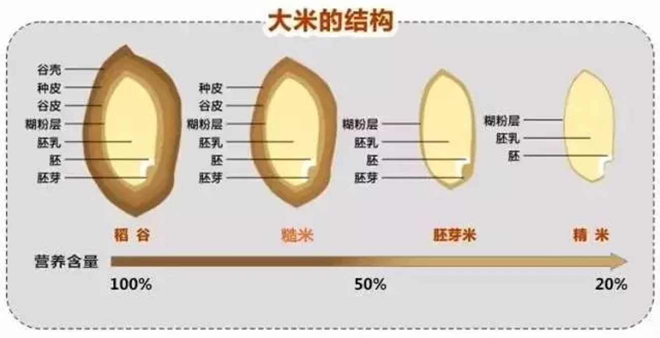 米字趣事:王粲被称作王米,米花为什么是酒曲,粥为什么有两把弓