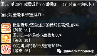 冒险岛全职业解析,冒险岛职业攻略