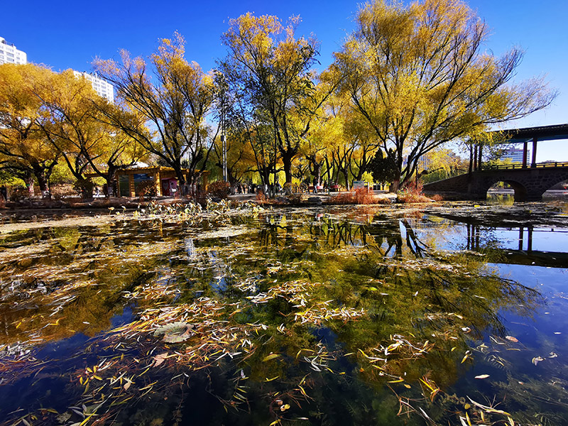 如何对付身边的小人坏人,如何对付各种小人