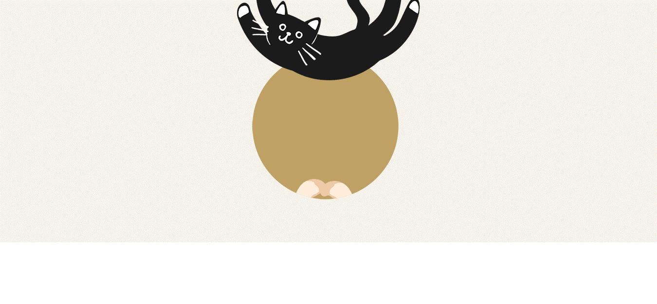 厨房是猫咪的修罗场，随便一项就能重伤