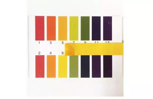 茶花酸性土壤自制小妙招,茶花太阳花茉莉栀子花的简单养法