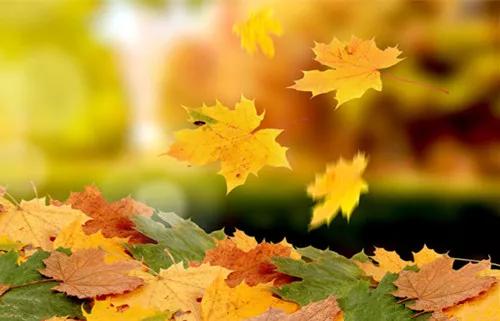 时光清浅不负流年,年华向晚不重来诗句