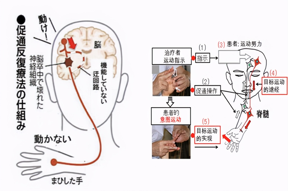 王宜超济宁,济宁中西医结合医院王宜超