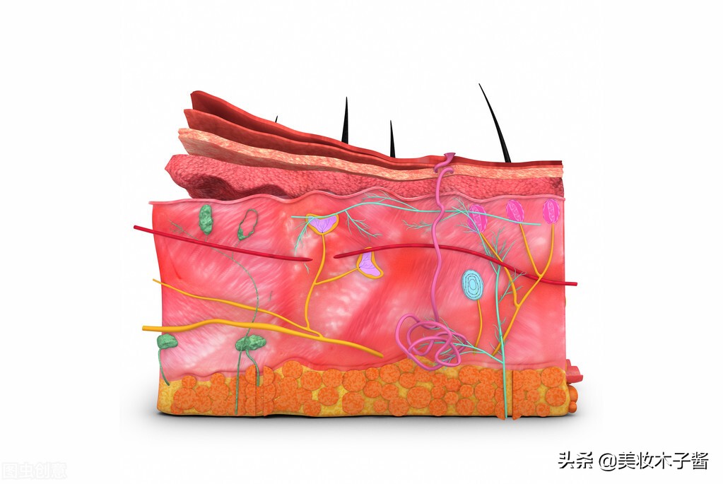 如何检测自己是什么肤质？用这个办法很简单