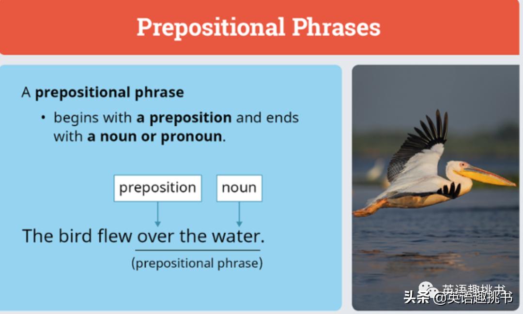 被称为美版“学而思”？顶尖学习系统“Pathblazer”了解一下