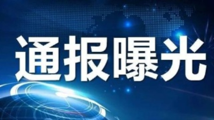 诈骗防疫物资获刑 (辽宁防疫物资诈骗案例)
