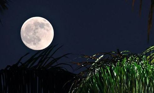 「诗词原创」邓寿康戊戌七言诗草