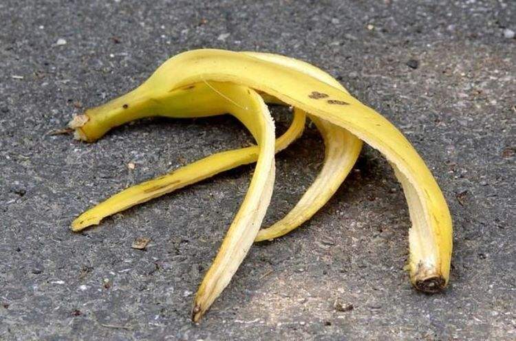 盆栽花卉土壤变硬了怎么办,盆栽花卉缺氮用什么肥