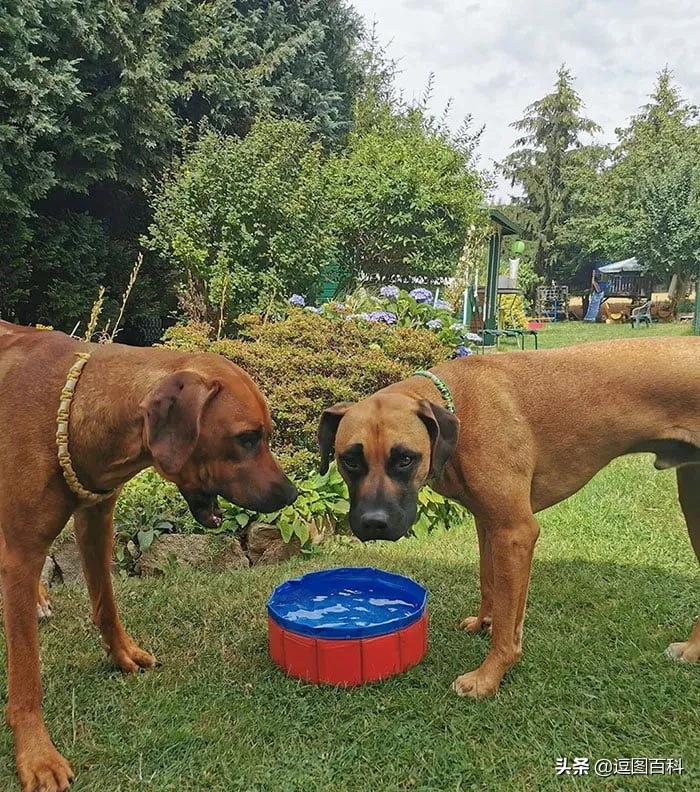 就喜欢这样自欺欺人的广告