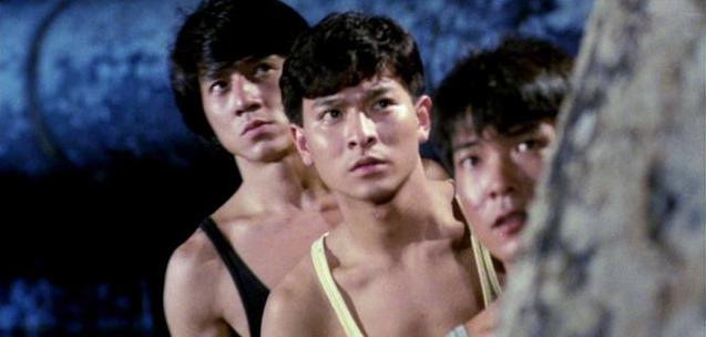 刘德华20部经典电影你看过几部,刘德华最经典的第100部电影