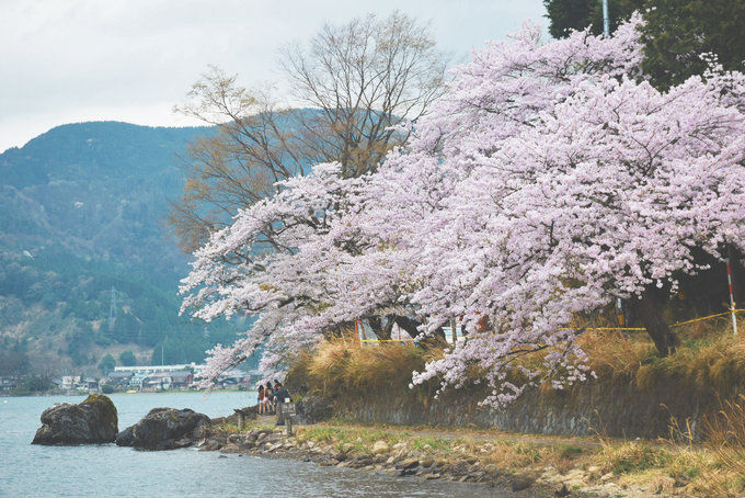 和大家一样去了大阪,但我不想随波逐流