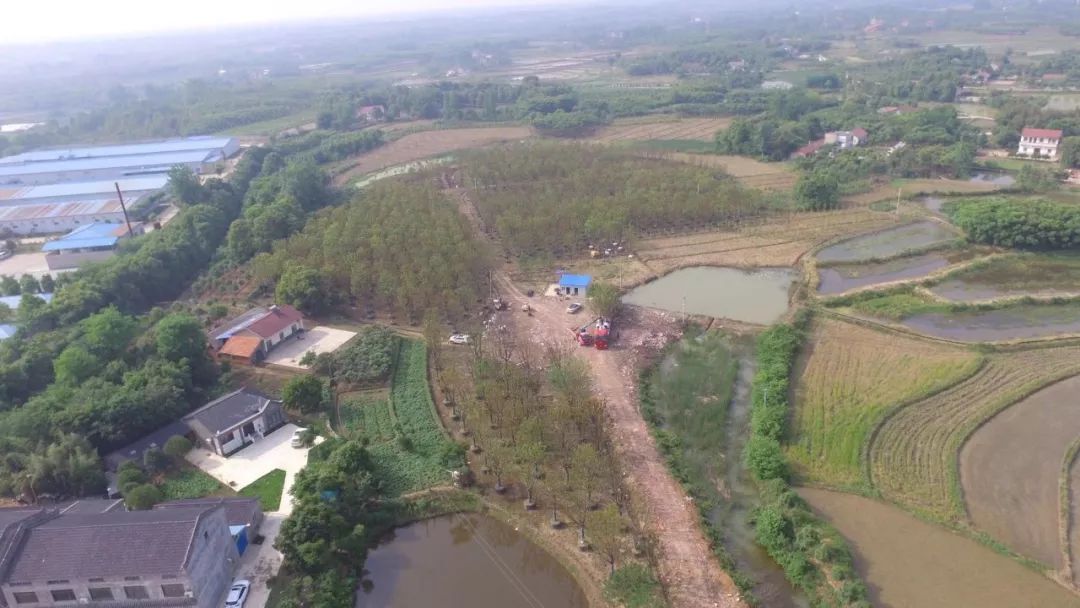 郑显华：显豁知幽抱，华顶望山高