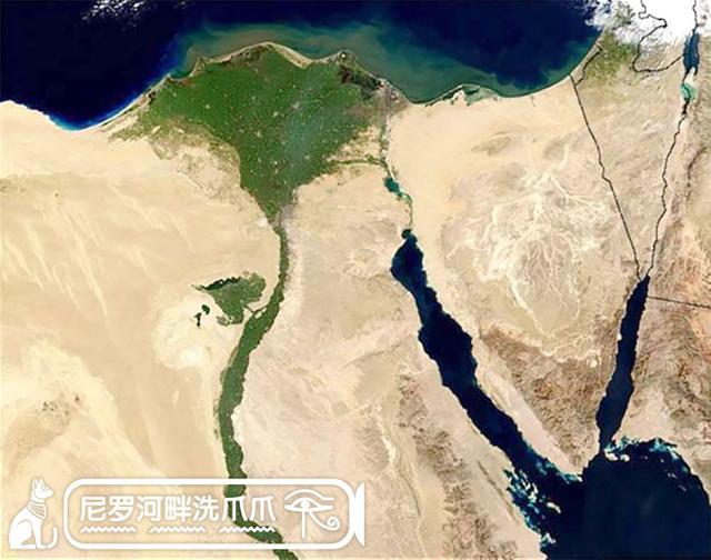 古埃及人都有什么饮食习惯,古埃及饮食习惯