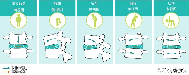 了解腰椎压力的原因吗？瑜伽轴向伸展减椎间盘压力，减压方法在这