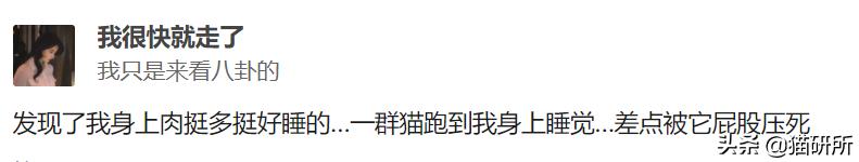 猫和主子玩装死游戏,在猫面前装死猫的反应