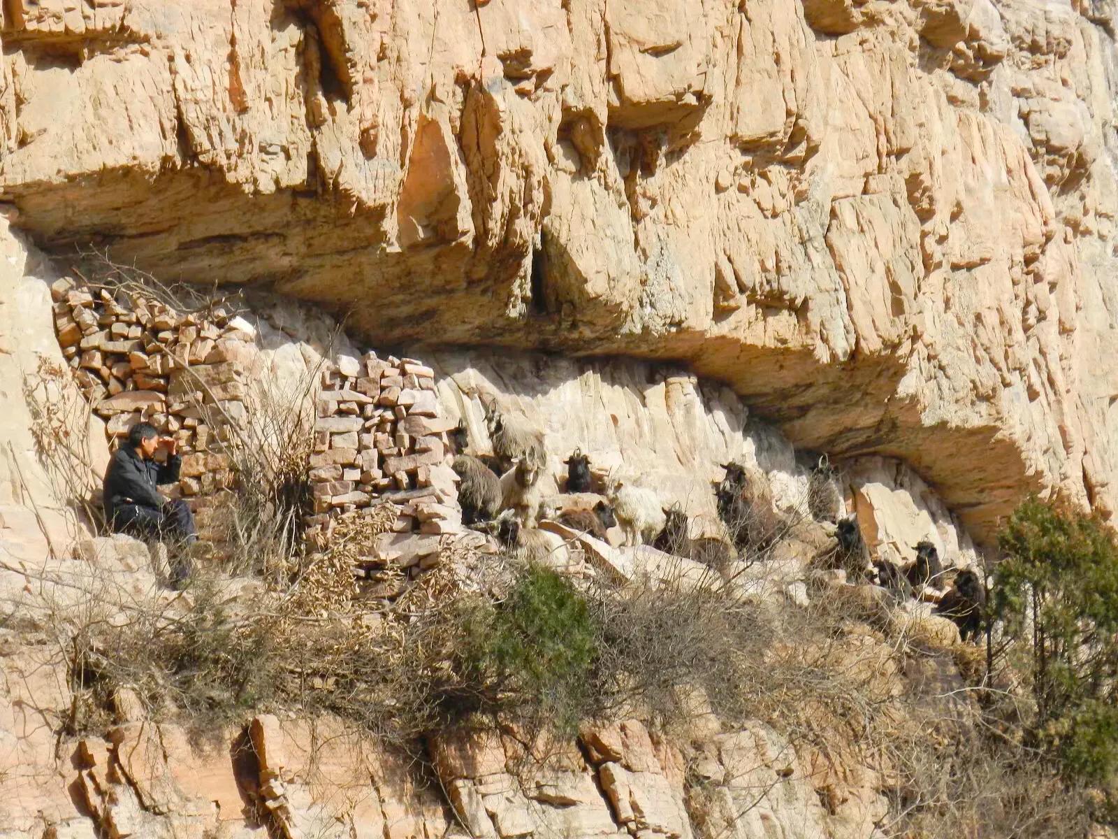 在山里迷路遇到狐狸,在山里迷路遇到了好漂亮的小姑娘