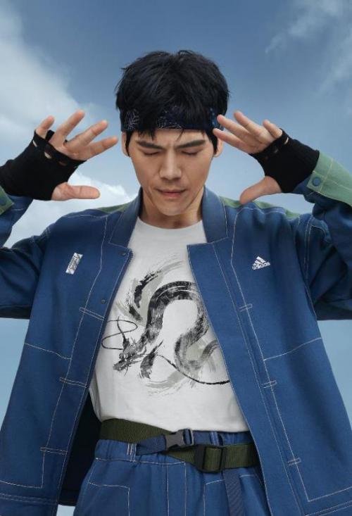 阿迪达斯武极套降龙掌,降龙之势