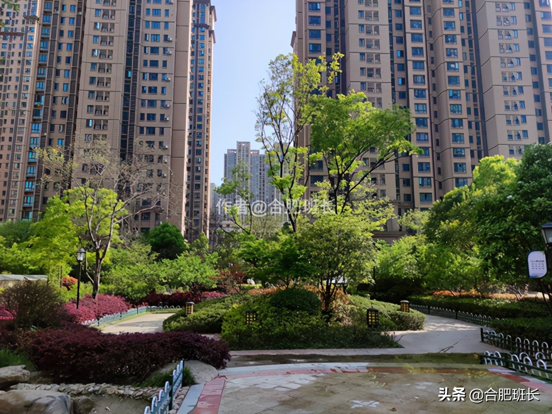 合肥滨湖新区四十六中附近,滨湖四十六中南校区有万科楼盘吗