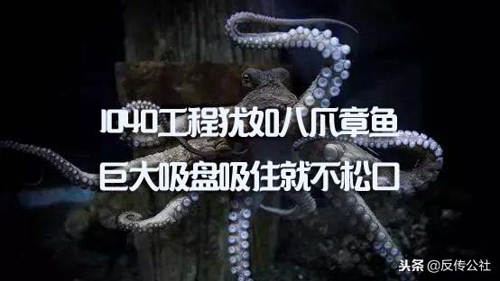 解密1040传销,武汉传销1040骗局揭秘