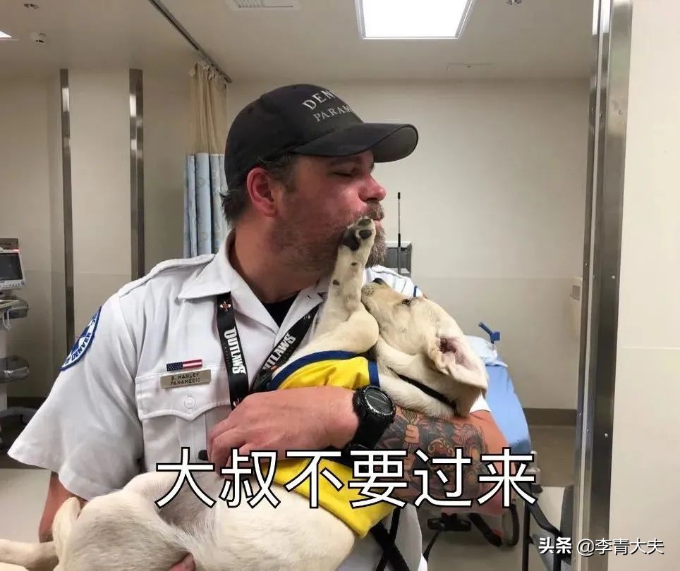 麦扣的家庭,麦扣的质感好物