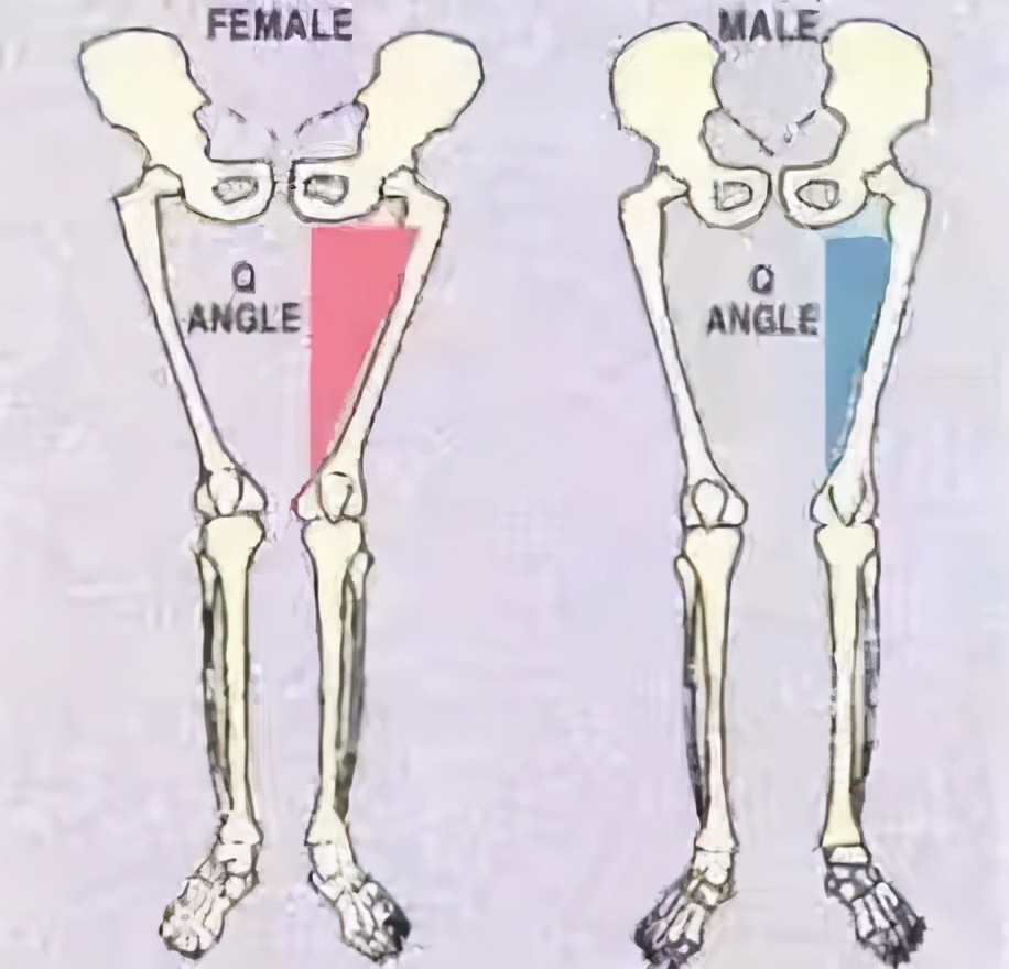 一个动作改善腿型拒绝腿粗瘦腿,一个动作矫正腿型还瘦腿