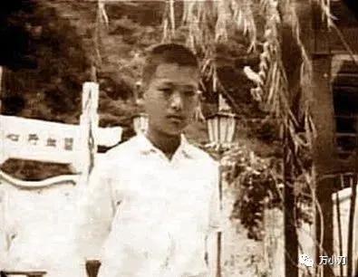 周润发逆天改命合集,周润发风流改命记