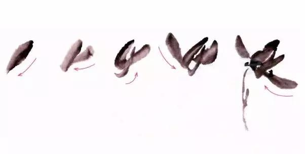 国画兰花绘画图,简单国画兰花画法教程