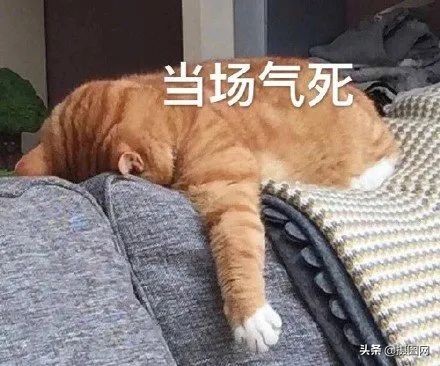 MAC城市限定系列“太土味”？进来看点正确的包装设计洗洗眼