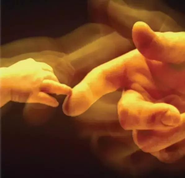 人体科普bbc,bbc人体科学