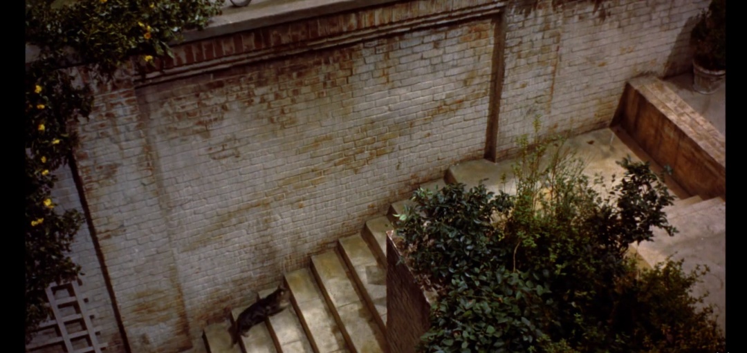 希区柯克经典电影后窗,希区柯克后窗艺术