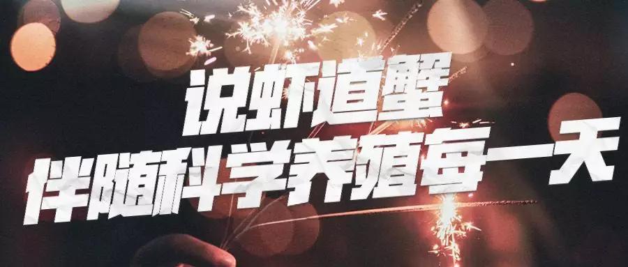 投资养殖小龙虾100亩成本多少钱,小龙虾成本与利润