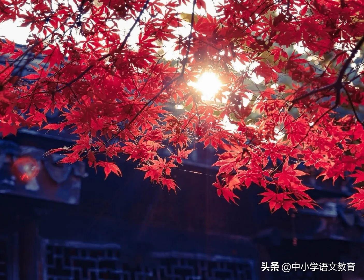 小学语文同步阅读书目,1-6年级小学语文必读课外书