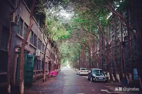 南京户外好玩的地方成人一日游,南京值得一去的3个冷门景点