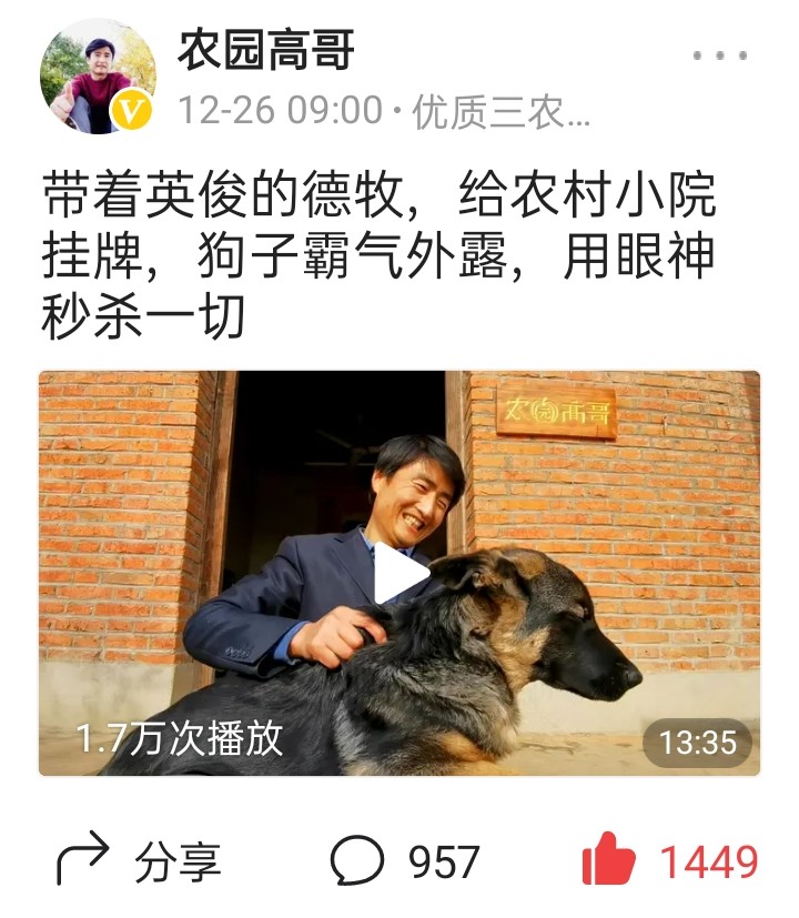 乐途黑妞的收获,黑妞乐途2019年骑行视频