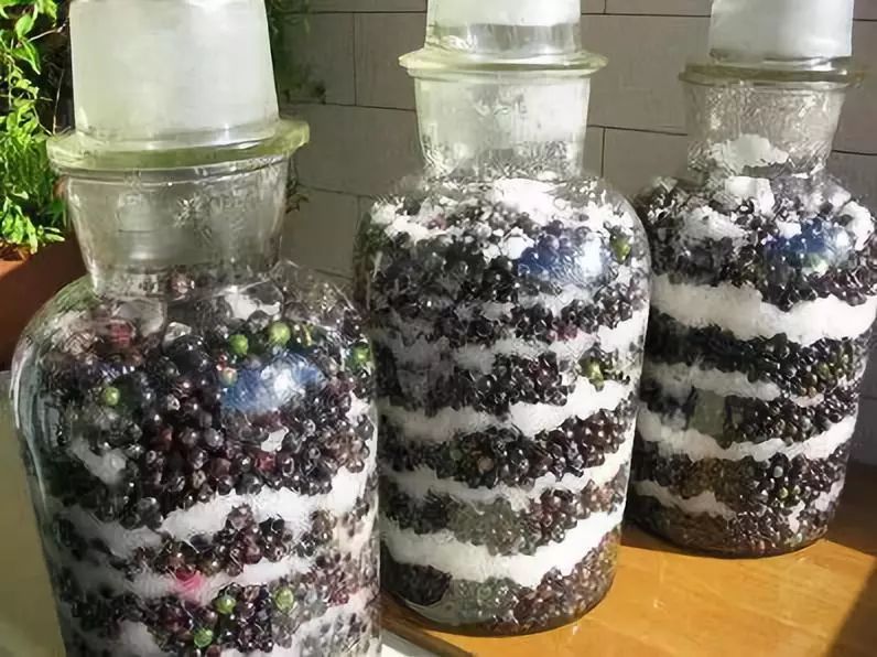 自酿葡萄酒的功效与作用,自酿山葡萄酒很涩怎么办