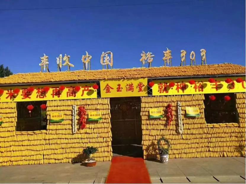 龙头大单品裕丰303的制胜之路,从优秀到卓越的路径图