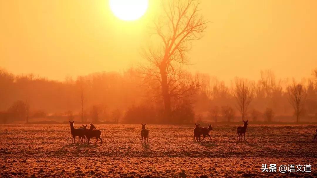 觊觎同音字读音,觊觎读音