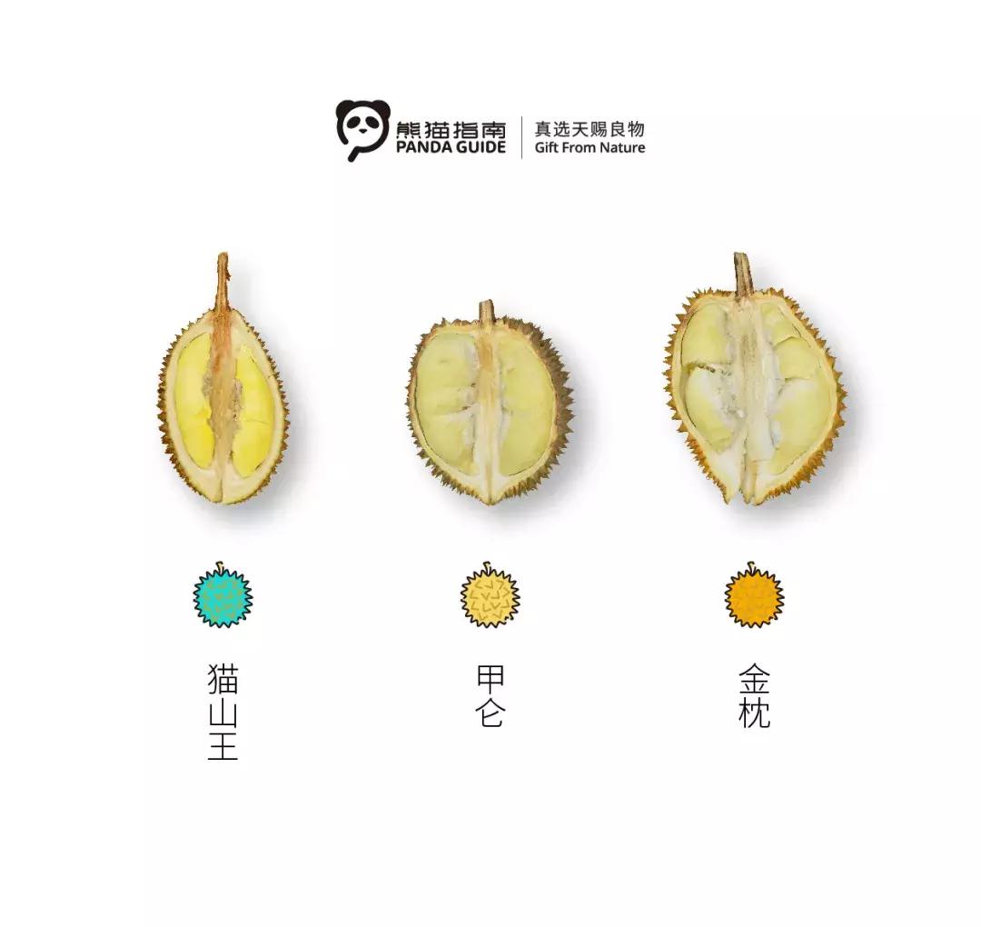 榴莲猫山王榴莲,金枕榴莲好还是猫山王榴莲好视频