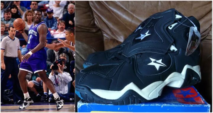 锡安和凯尔登约翰逊,锡安模板约翰逊