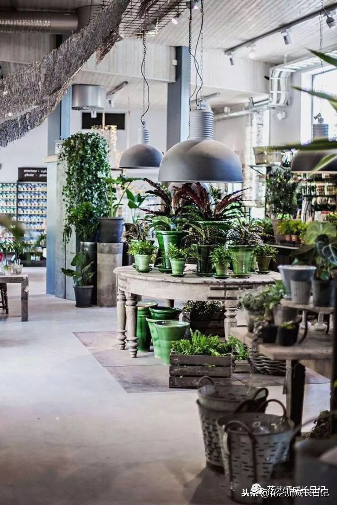 新手花店选址哪里最好,花店选店铺位置怎么选最佳