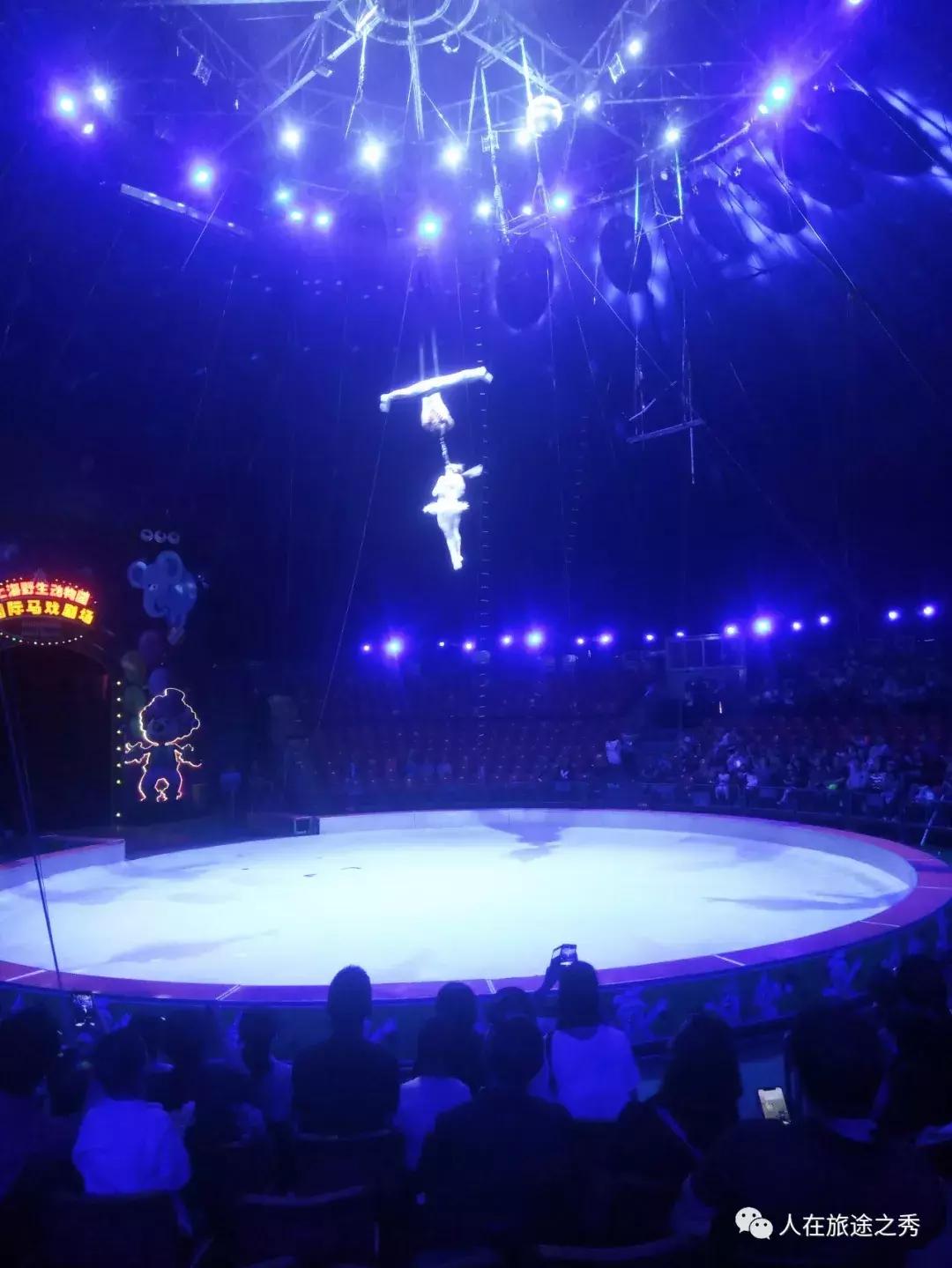 上海野生动物园国际马戏,上海野生动物园的马戏剧场演多久