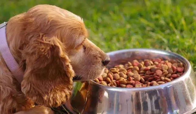 福懋动物医院解放大道分院,福懋动物医疗中心