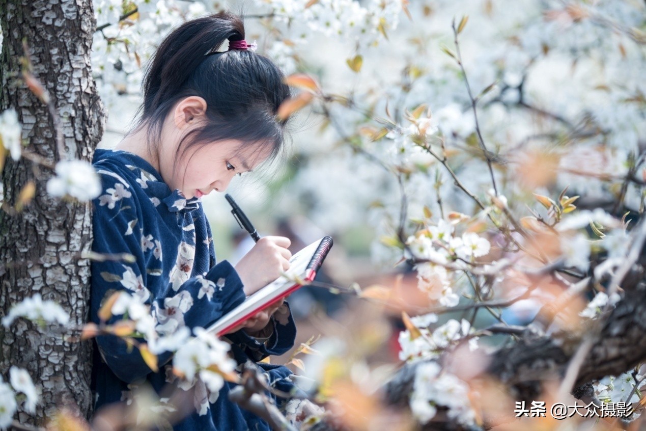 砀山英雄会,芒砀山英雄会