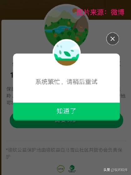 520支付宝蚂蚁森林崩了,官微回复引导舆论走向