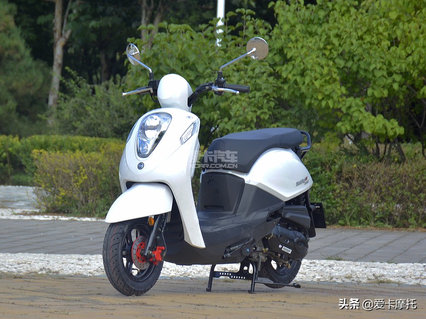 骑士的情人节,骑士送给女朋友的情人节礼物