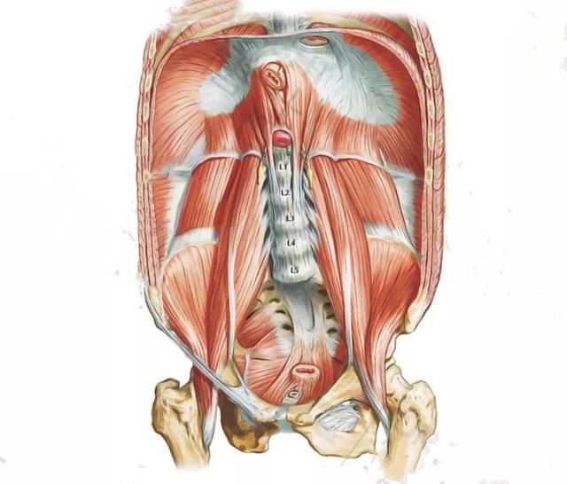 力线平衡术针灸,原始点治疗强直性脊柱炎案例