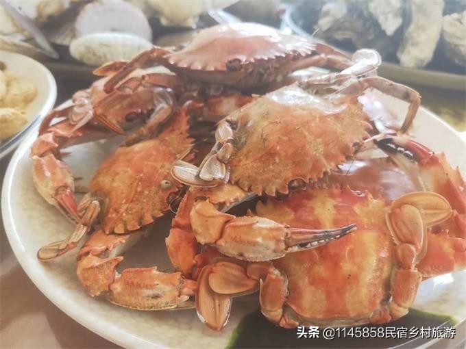 大连哈仙岛滨海渔家,大连义财渔家