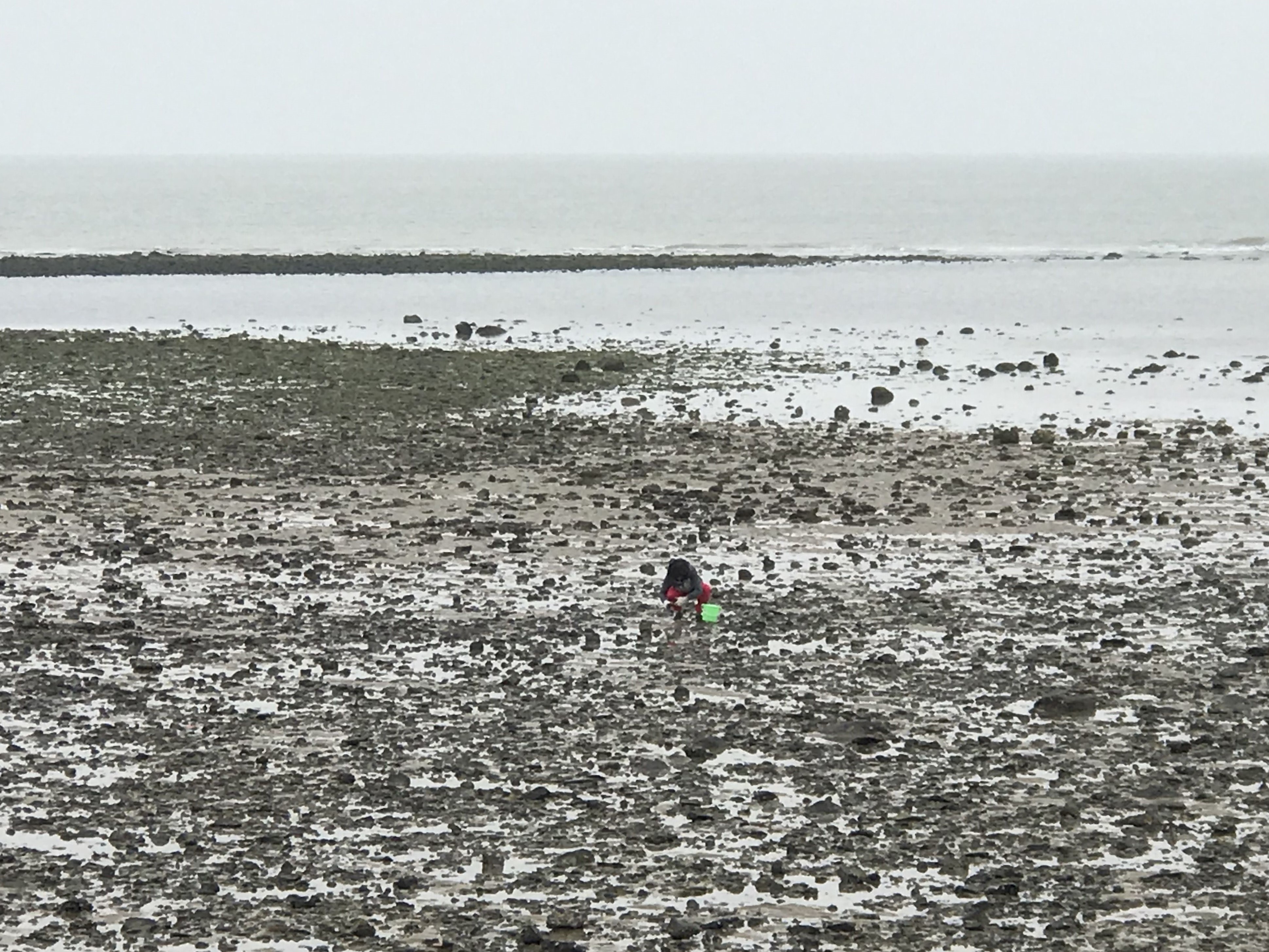 再说房车人是咋算账的；1212房车旅行车的事很担心；赶海