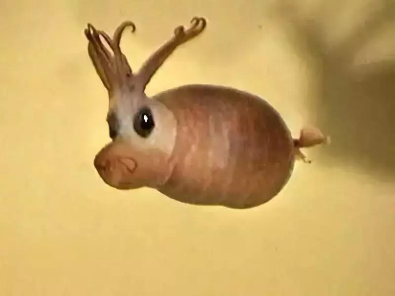 世界上最惊艳的海底照,100张绝美的海底照片